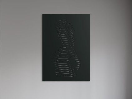 Drevený abstraktný obraz Ženské krivky (Farba obrazu Sivá, Rozmer obrazu 31,5 x 22,5 cm)