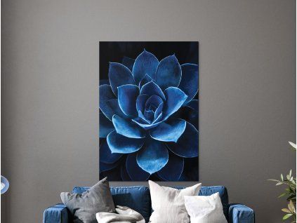 Obraz Modrý sukulent (Farba rámu Bez rámu, Povrchová úprava Matná, Veľkosť obrazu A4)