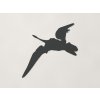 Detská nálepka Pterodactyl (Farba obrazu Antracit)
