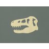 Detská nálepka na stenu Hlava dinosaura (Farba obrazu Prírodná)
