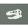Detská nálepka na stenu Hlava dinosaura (Farba obrazu Biela)