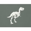 Detská nálepka na stenu Kostra dinosaura (Farba obrazu Biela)