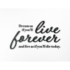 Drevený citát Dream as if you’ll live forever