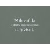Citát o láske Milovať ťa je ideálny spôsob, ako stráviť celý život (Farba obrazu Sivá)