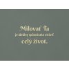 Citát o láske Milovať ťa je ideálny spôsob, ako stráviť celý život (Farba obrazu Prírodná)