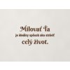 Citát o láske Milovať ťa je ideálny spôsob, ako stráviť celý život (Farba obrazu Orech)