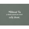 Citát o láske Milovať ťa je ideálny spôsob, ako stráviť celý život (Farba obrazu Biela)