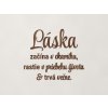 Citát na stenu Láska začína v okamihu (Farba obrazu Orech)