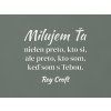 Citát o láske Milujem ťa nielen preto, kto si (Farba obrazu Biela)