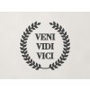 Drevený nápis Veni vidi vici (Farba obrazu Antracit)