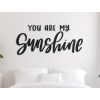 Nápis na stenu You are my sunshine