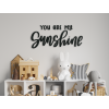 Nápis na stenu You are my sunshine
