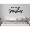 Nápis na stenu You are my sunshine