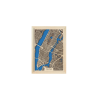 ny6