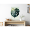 Obraz List monstery (Povrchová úprava Matná, Rozmer obrazu 33,5 x 22 cm)