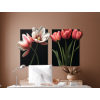 Dvojdielny obraz Romantické tulipány (Povrchová úprava Matná, Rozmer obrazu 31,5 x 52 cm)