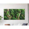 Machový obraz Zelená sviežosť (UV tlač) (Povrchová úprava Matná, Rozmer obrazu 27 x 52,5 cm)