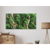 Machový obraz Zelená sviežosť (UV tlač) (Povrchová úprava Matná, Rozmer obrazu 27 x 52,5 cm)
