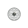 antra